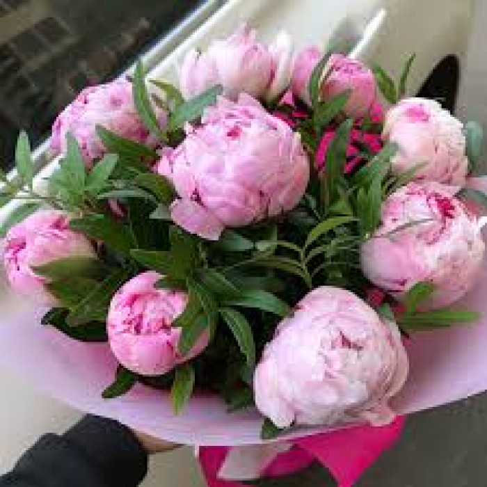 Пион древовидный в Павлодаре