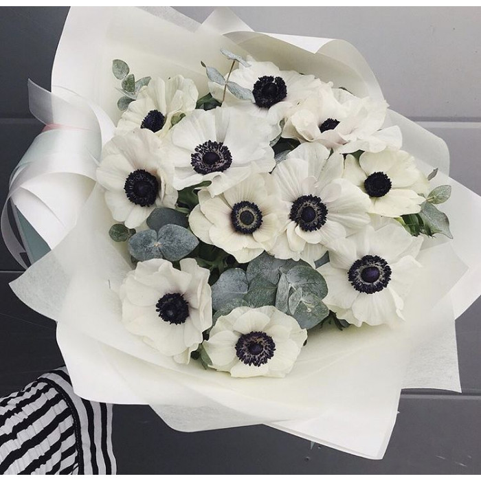 Анемоны в Павлодаре