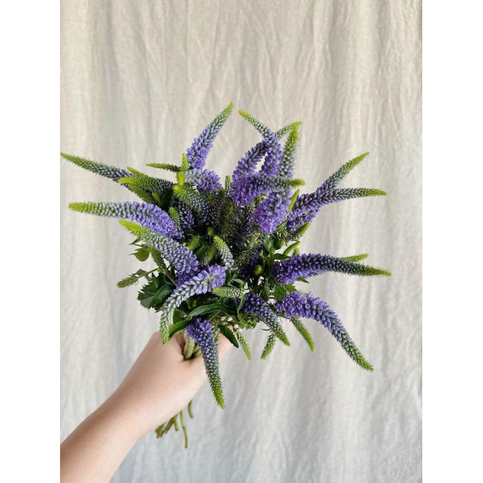 Вероника в Павлодаре