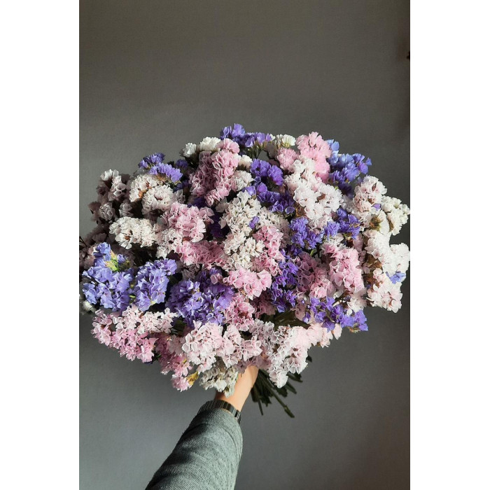 Статица (Лимониум) в Павлодаре