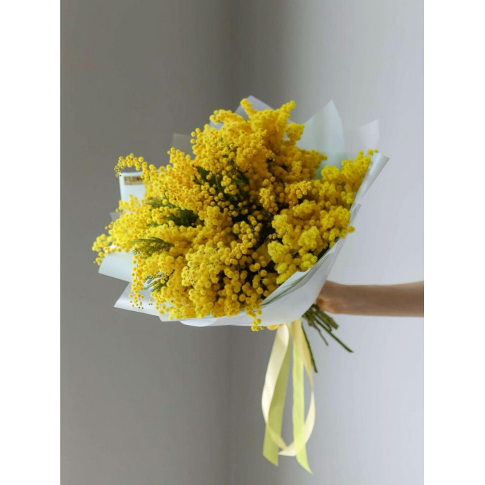 Мимоза в Павлодаре