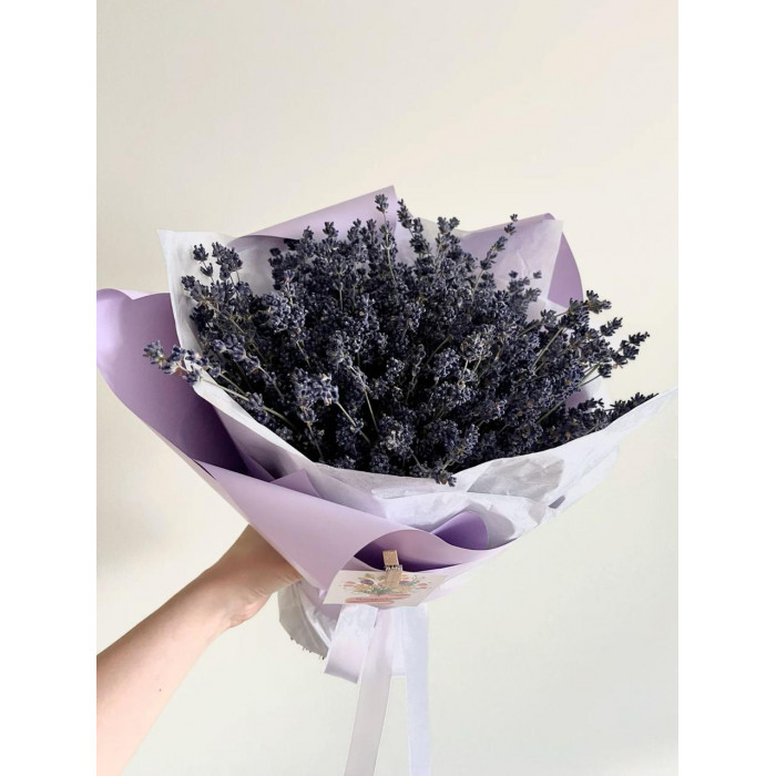 Лаванда в Павлодаре