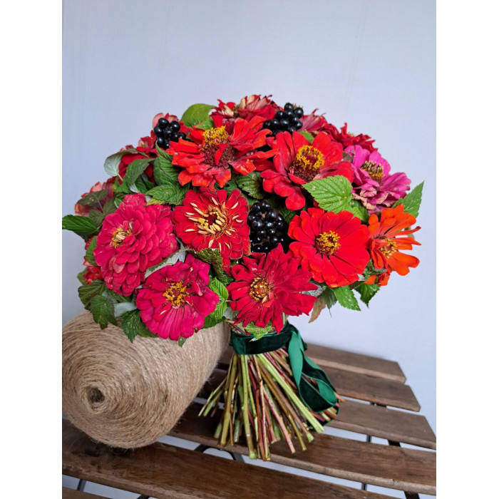 Циния в Павлодаре