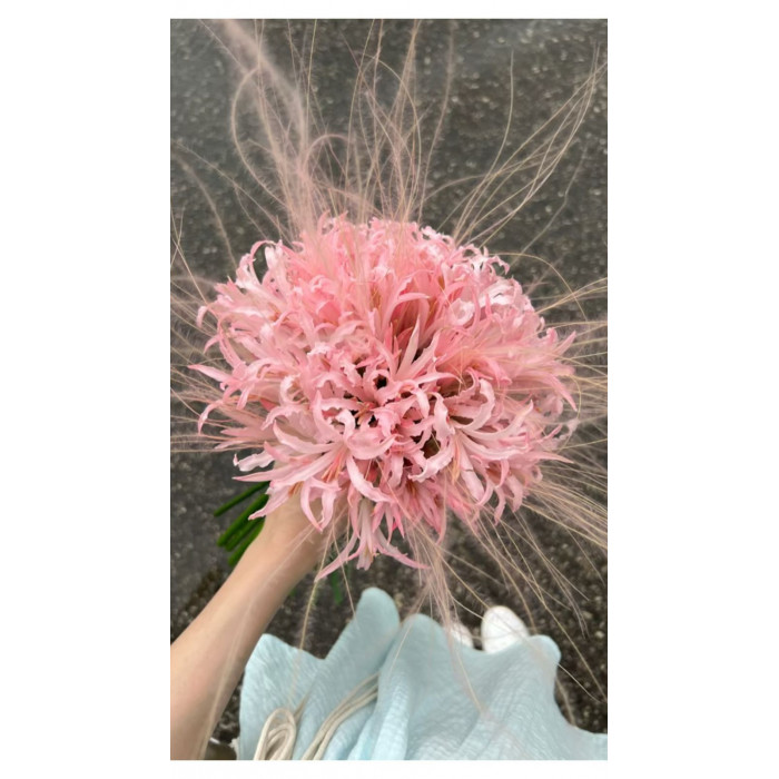 Нерине в Павлодаре