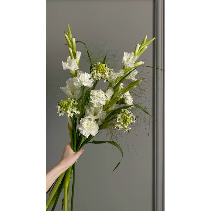 Орнитогалум в Павлодаре