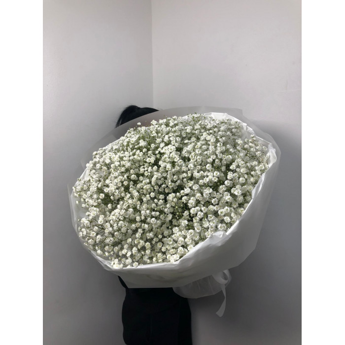 Гипсофила классическая в Павлодаре