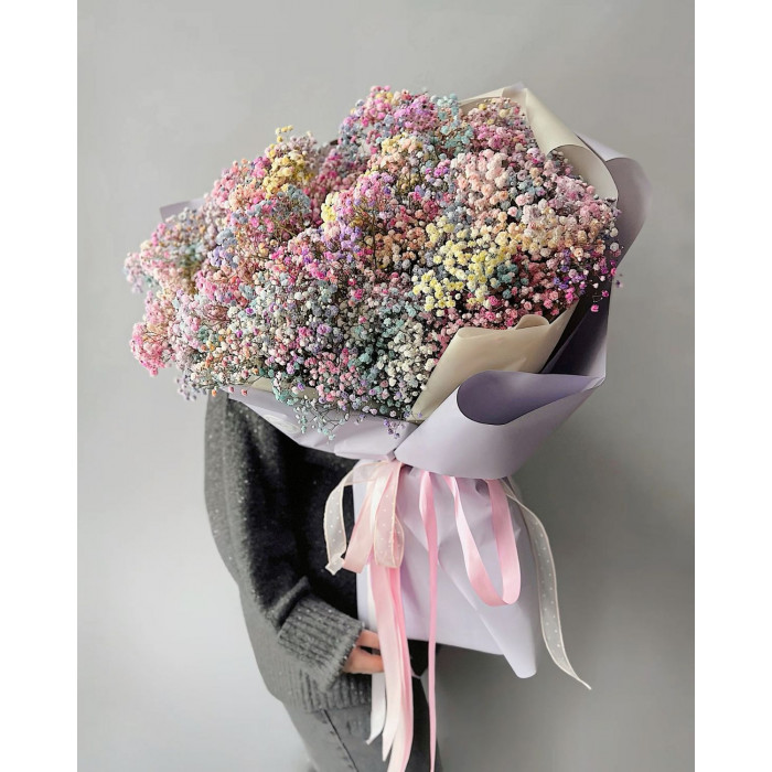 Гипсофила цветная в Павлодаре