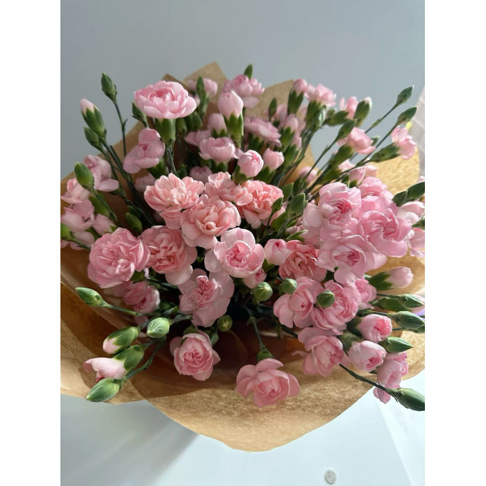 Кустовые гвоздики в Павлодаре