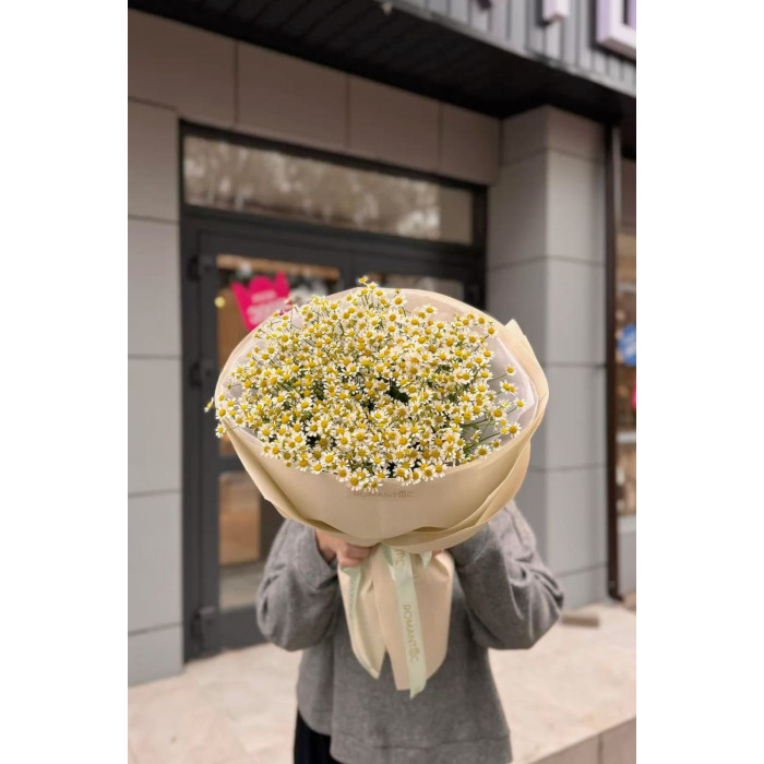 Танацетум в Павлодаре