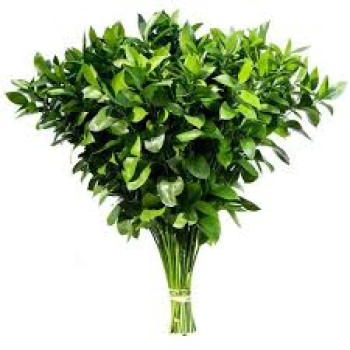 Рускус в Павлодаре