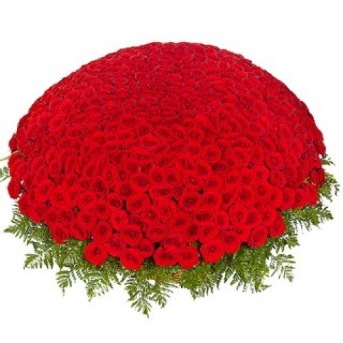 Купить на заказ 301  роза с доставкой в Павлодаре