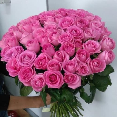 Купить на заказ Букет из 75 розовых роз с доставкой в Павлодаре