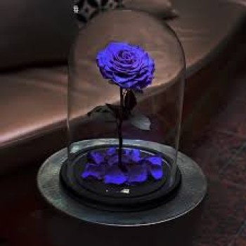 Роза в колбе   фиолетовая
